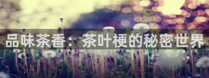 彩名堂改名稻草人了吗