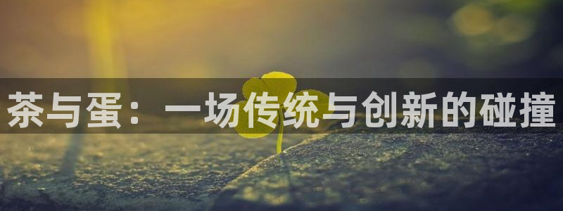 彩名堂官网计划客户端