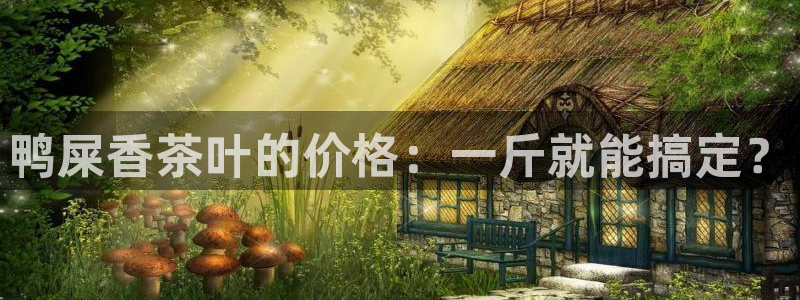 彩名堂手机客户端官网