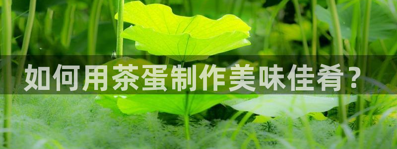 彩名堂官方下载地址