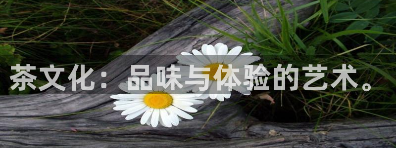 彩名堂官方下载地址