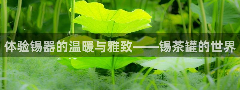 彩名堂人工计划客户端官网