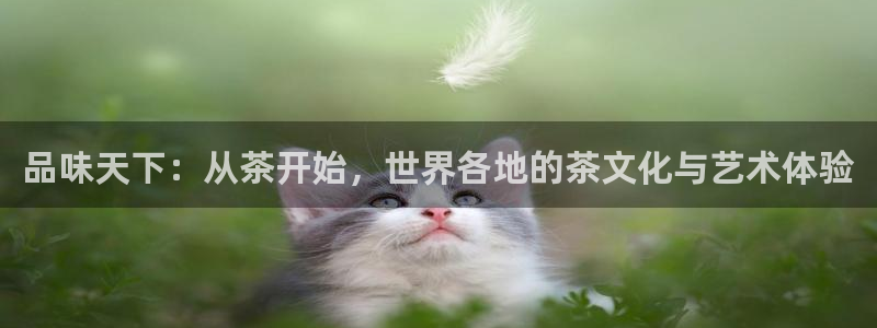 彩名堂跟哪种最好用